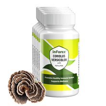 Business Builder inForce Intro Pack